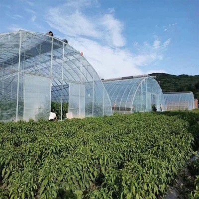 延邊溫室大棚