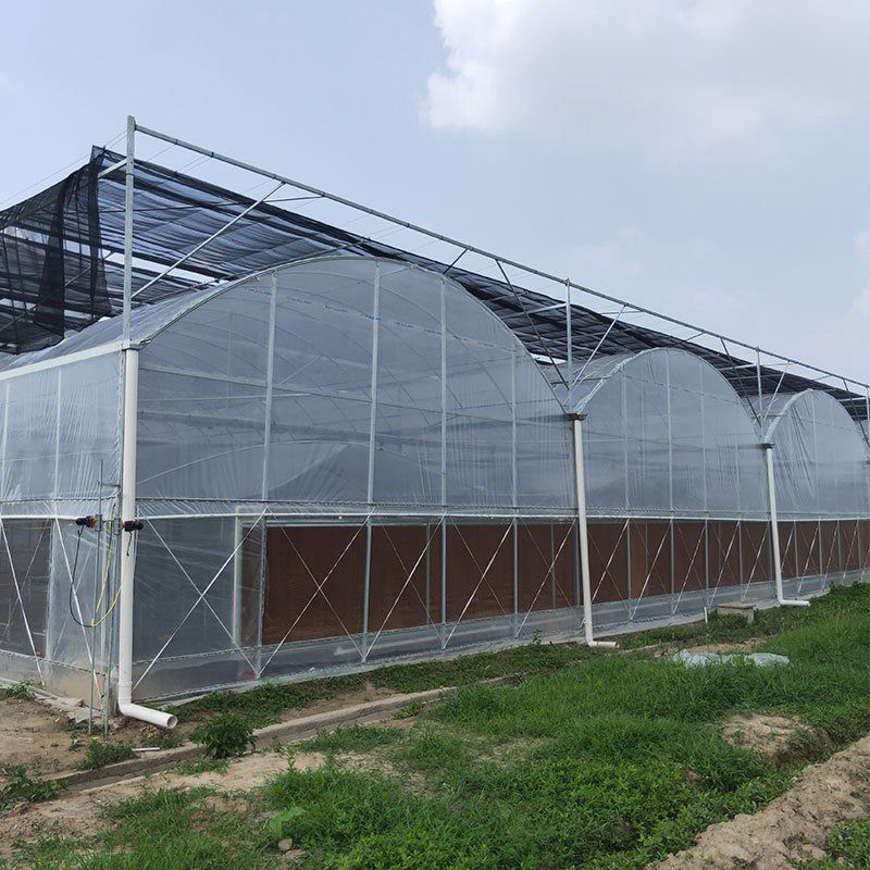 延邊溫室工程